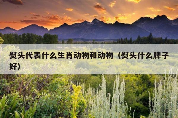 熨头代表什么生肖动物和动物（熨头什么牌子好）