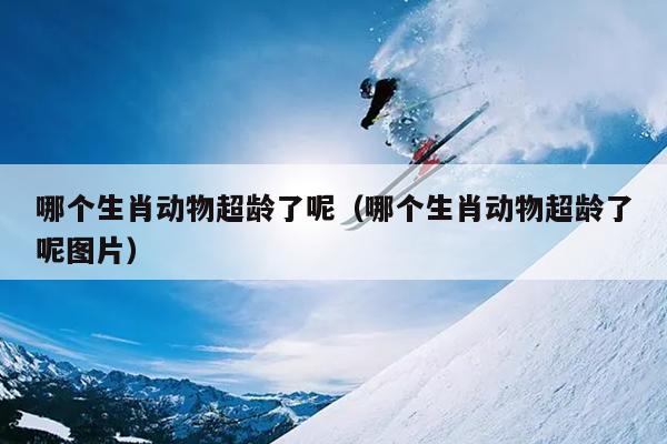 哪个生肖动物超龄了呢（哪个生肖动物超龄了呢图片）