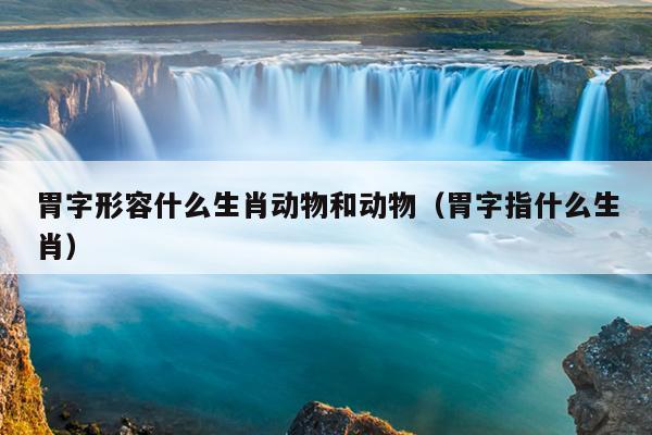 胃字形容什么生肖动物和动物（胃字指什么生肖）