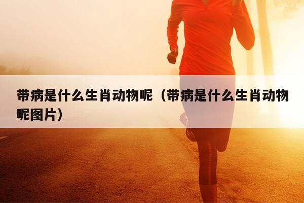 带病是什么生肖动物呢（带病是什么生肖动物呢图片）