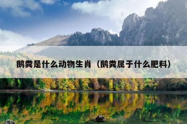 鹅粪是什么动物生肖（鹅粪属于什么肥料）