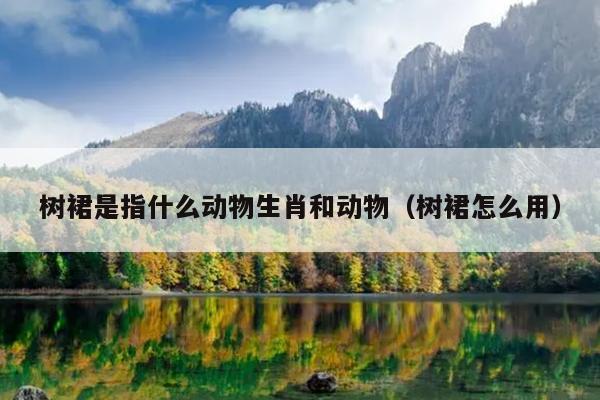 树裙是指什么动物生肖和动物（树裙怎么用）