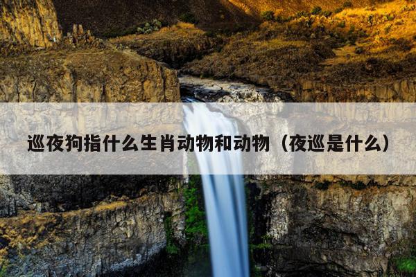巡夜狗指什么生肖动物和动物（夜巡是什么）