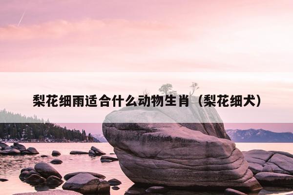 梨花细雨适合什么动物生肖（梨花细犬）