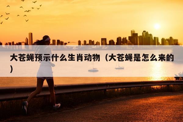 大苍蝇预示什么生肖动物（大苍蝇是怎么来的）