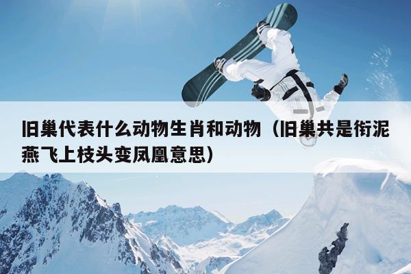旧巢代表什么动物生肖和动物（旧巢共是衔泥燕飞上枝头变凤凰意思）