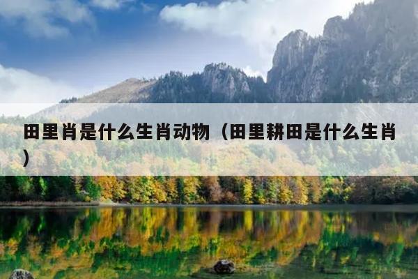 田里肖是什么生肖动物（田里耕田是什么生肖）