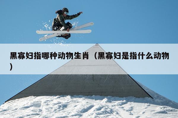 黑寡妇指哪种动物生肖（黑寡妇是指什么动物）