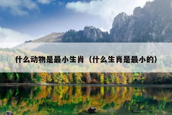什么动物是最小生肖（什么生肖是最小的）