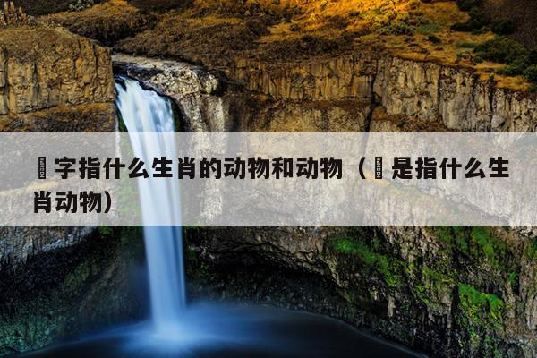 檴字指什么生肖的动物和动物（犇是指什么生肖动物）