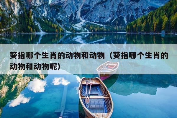 葵指哪个生肖的动物和动物（葵指哪个生肖的动物和动物呢）