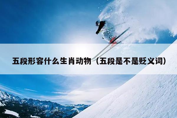 五段形容什么生肖动物（五段是不是贬义词）