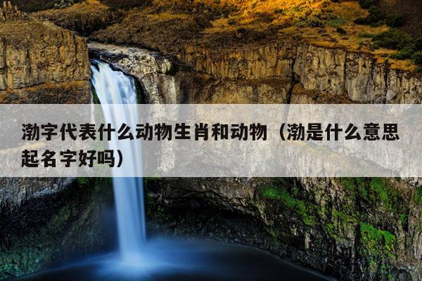 渤字代表什么动物生肖和动物（渤是什么意思起名字好吗）