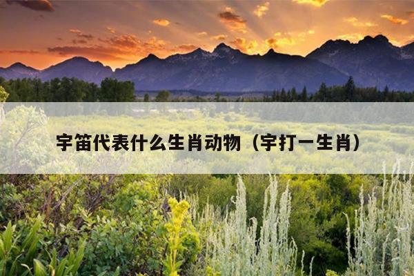 宇笛代表什么生肖动物（宇打一生肖）