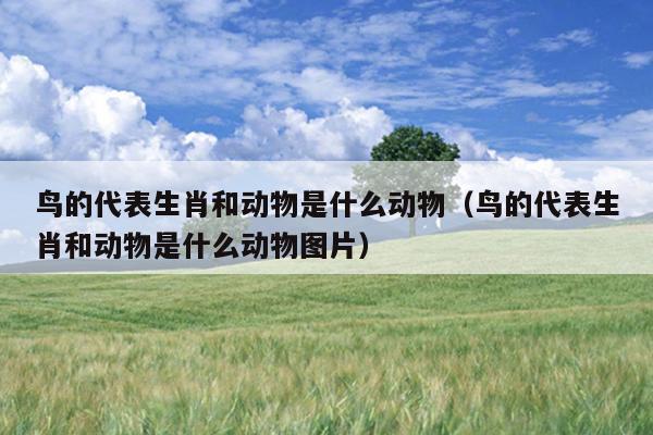 鸟的代表生肖和动物是什么动物（鸟的代表生肖和动物是什么动物图片）