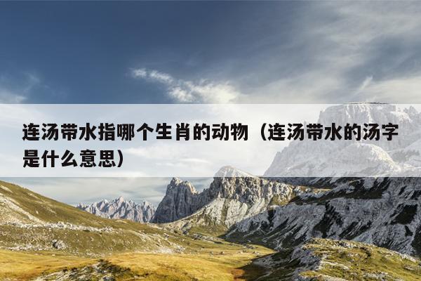 连汤带水指哪个生肖的动物（连汤带水的汤字是什么意思）
