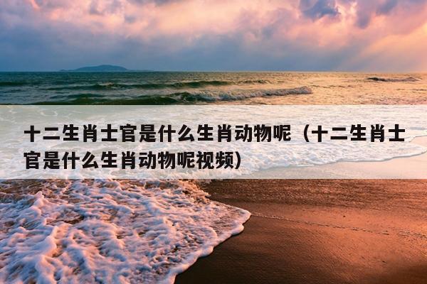 十二生肖士官是什么生肖动物呢（十二生肖士官是什么生肖动物呢视频）