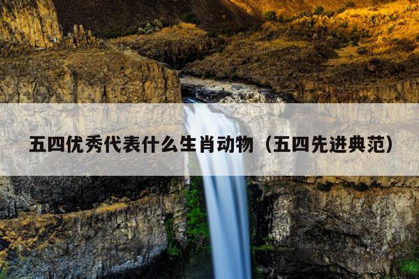 五四优秀代表什么生肖动物（五四先进典范）