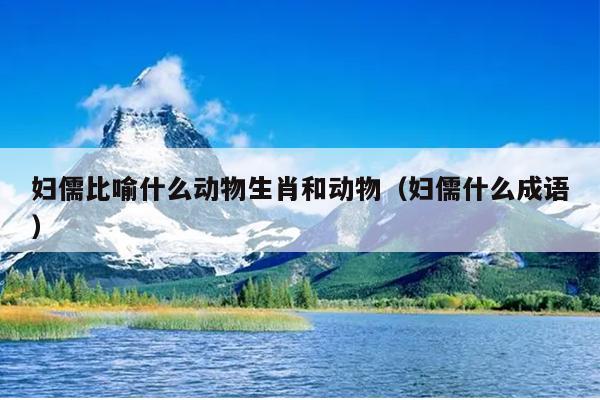 妇儒比喻什么动物生肖和动物（妇儒什么成语）