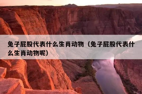 兔子屁股代表什么生肖动物（兔子屁股代表什么生肖动物呢）