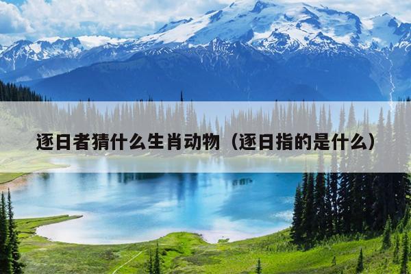 逐日者猜什么生肖动物（逐日指的是什么）