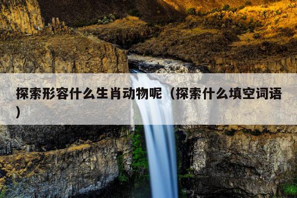 探索形容什么生肖动物呢（探索什么填空词语）