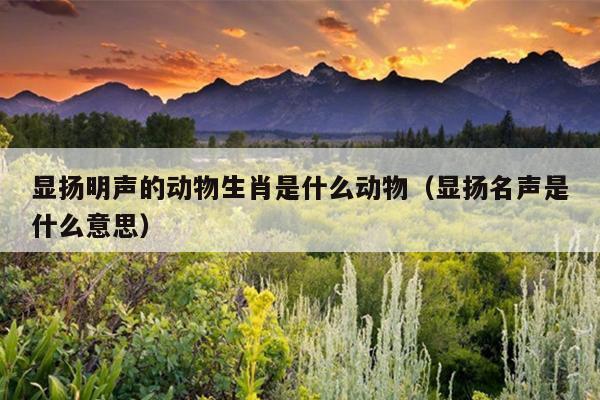 显扬明声的动物生肖是什么动物（显扬名声是什么意思）