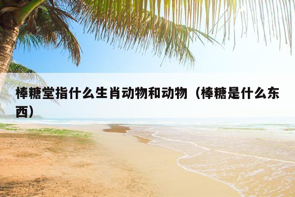 棒糖堂指什么生肖动物和动物（棒糖是什么东西）