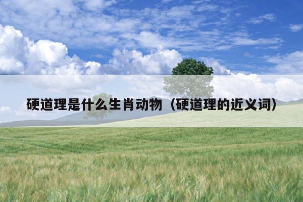 硬道理是什么生肖动物（硬道理的近义词）