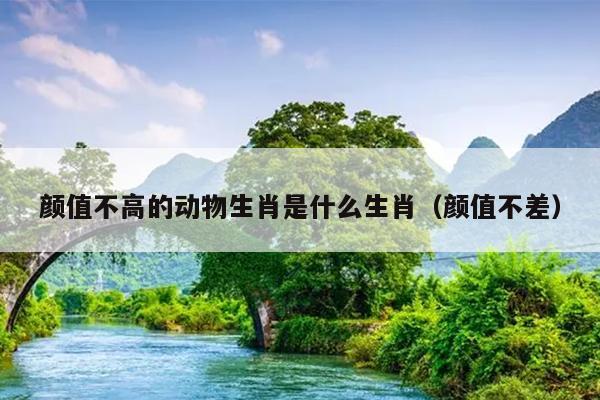 颜值不高的动物生肖是什么生肖（颜值不差）
