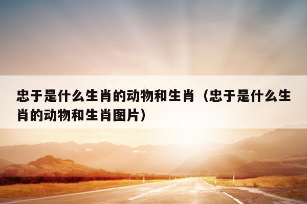 忠于是什么生肖的动物和生肖（忠于是什么生肖的动物和生肖图片）