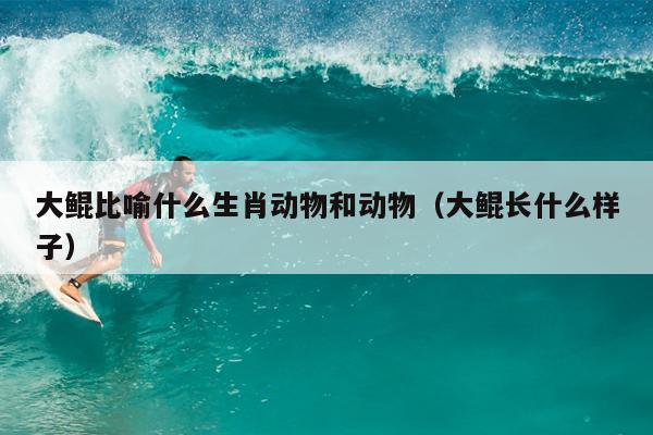 大鲲比喻什么生肖动物和动物（大鲲长什么样子）