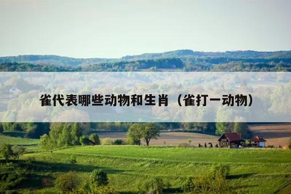 雀代表哪些动物和生肖（雀打一动物）