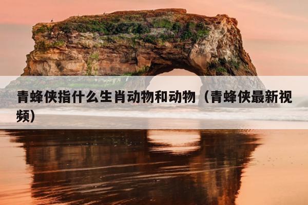 青蜂侠指什么生肖动物和动物（青蜂侠最新视频）