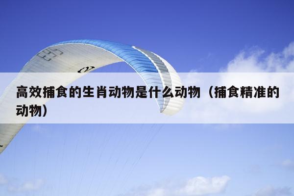 高效捕食的生肖动物是什么动物（捕食精准的动物）