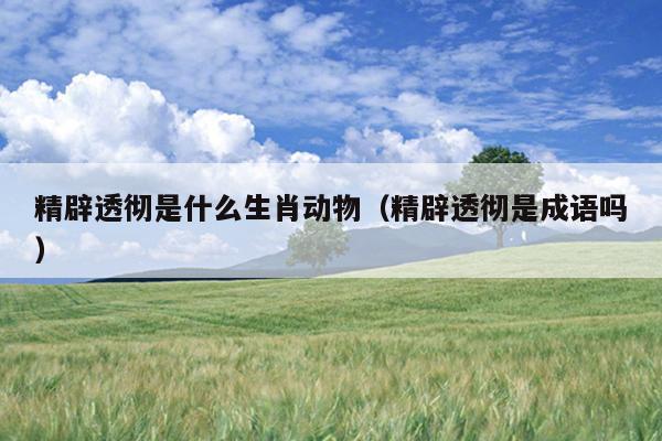 精辟透彻是什么生肖动物（精辟透彻是成语吗）