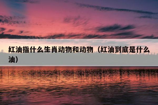 红油指什么生肖动物和动物（红油到底是什么油）