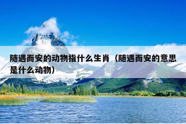 随遇而安的动物指什么生肖（随遇而安的意思是什么动物）