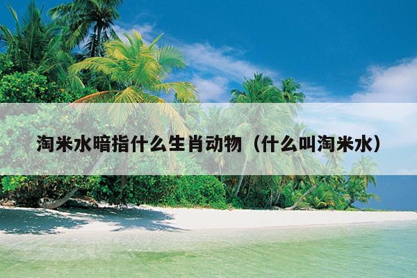 淘米水暗指什么生肖动物（什么叫淘米水）