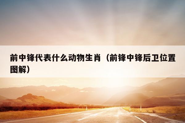 前中锋代表什么动物生肖（前锋中锋后卫位置图解）