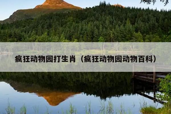 疯狂动物园打生肖（疯狂动物园动物百科）