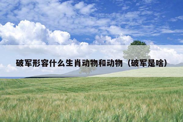 破军形容什么生肖动物和动物（破军是啥）