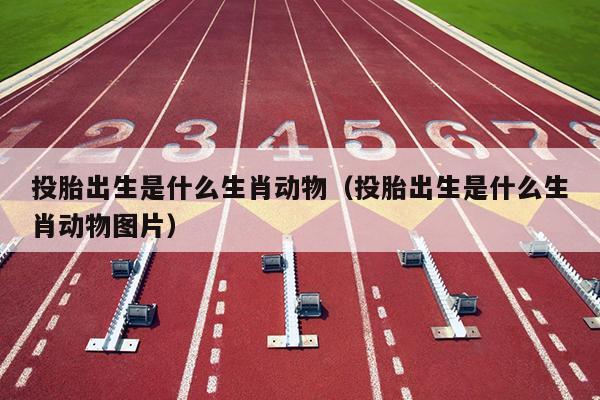 投胎出生是什么生肖动物（投胎出生是什么生肖动物图片）