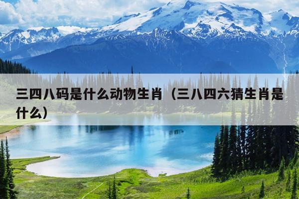 三四八码是什么动物生肖（三八四六猜生肖是什么）