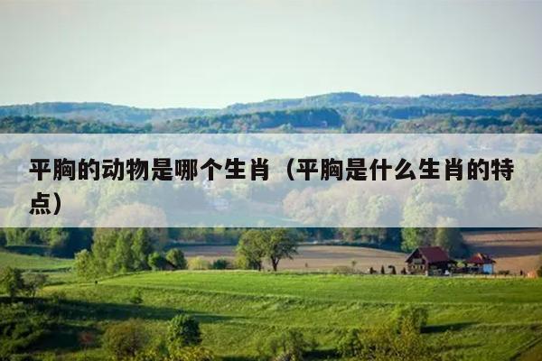 平胸的动物是哪个生肖（平胸是什么生肖的特点）