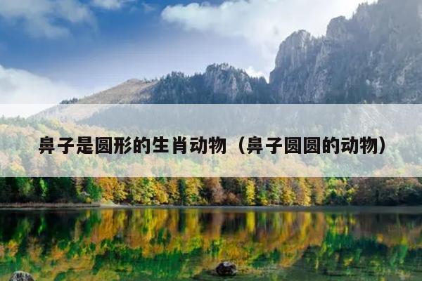 鼻子是圆形的生肖动物（鼻子圆圆的动物）