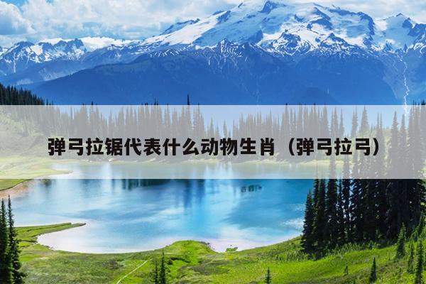 弹弓拉锯代表什么动物生肖（弹弓拉弓）