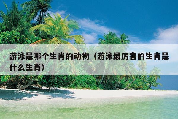 游泳是哪个生肖的动物（游泳最厉害的生肖是什么生肖）