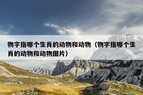 物字指哪个生肖的动物和动物（物字指哪个生肖的动物和动物图片）
