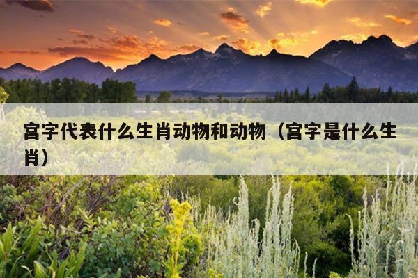 宫字代表什么生肖动物和动物（宫字是什么生肖）